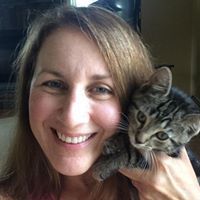 Profile Image for Diane Mchugh.